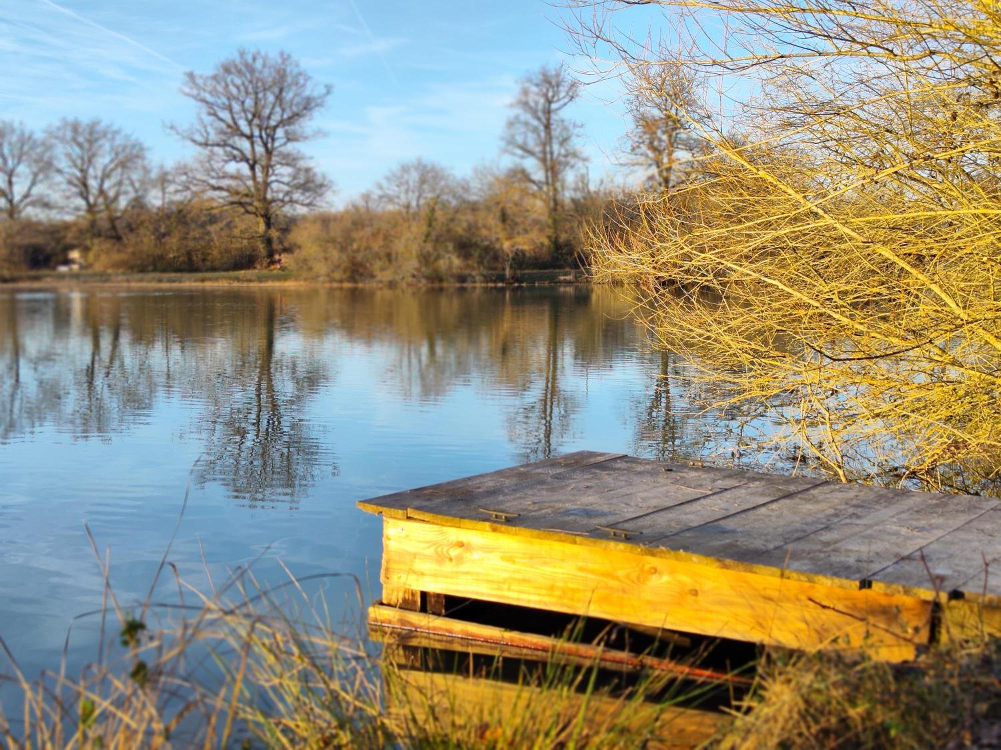 Domaine De La Roseliere • Nature • Brenne Rosnay  Dış mekan fotoğraf