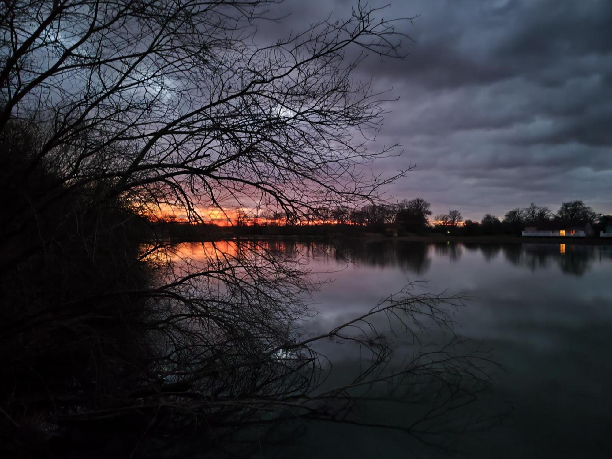 Domaine De La Roseliere • Nature • Brenne Rosnay  Dış mekan fotoğraf