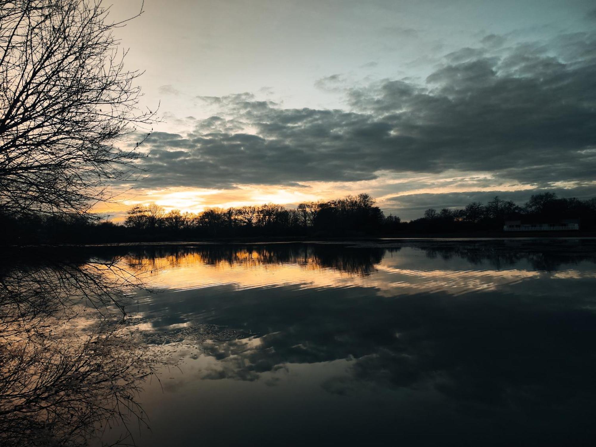 Domaine De La Roseliere • Nature • Brenne Rosnay  Dış mekan fotoğraf