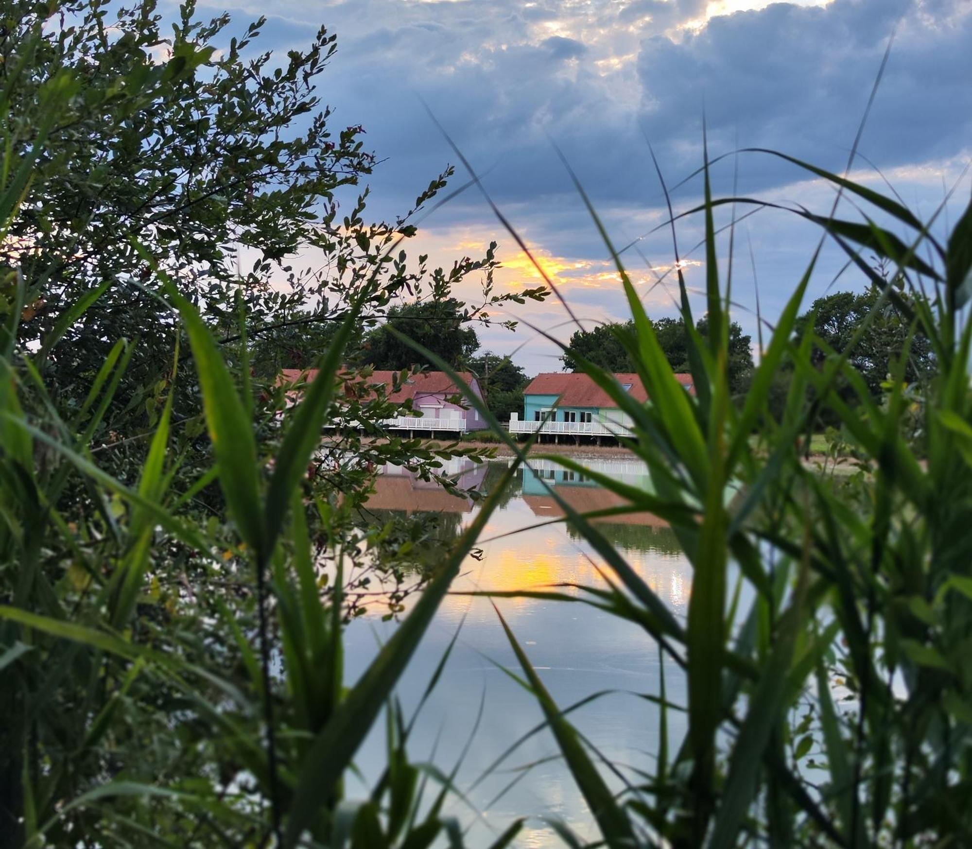 Domaine De La Roseliere • Nature • Brenne Rosnay  Dış mekan fotoğraf