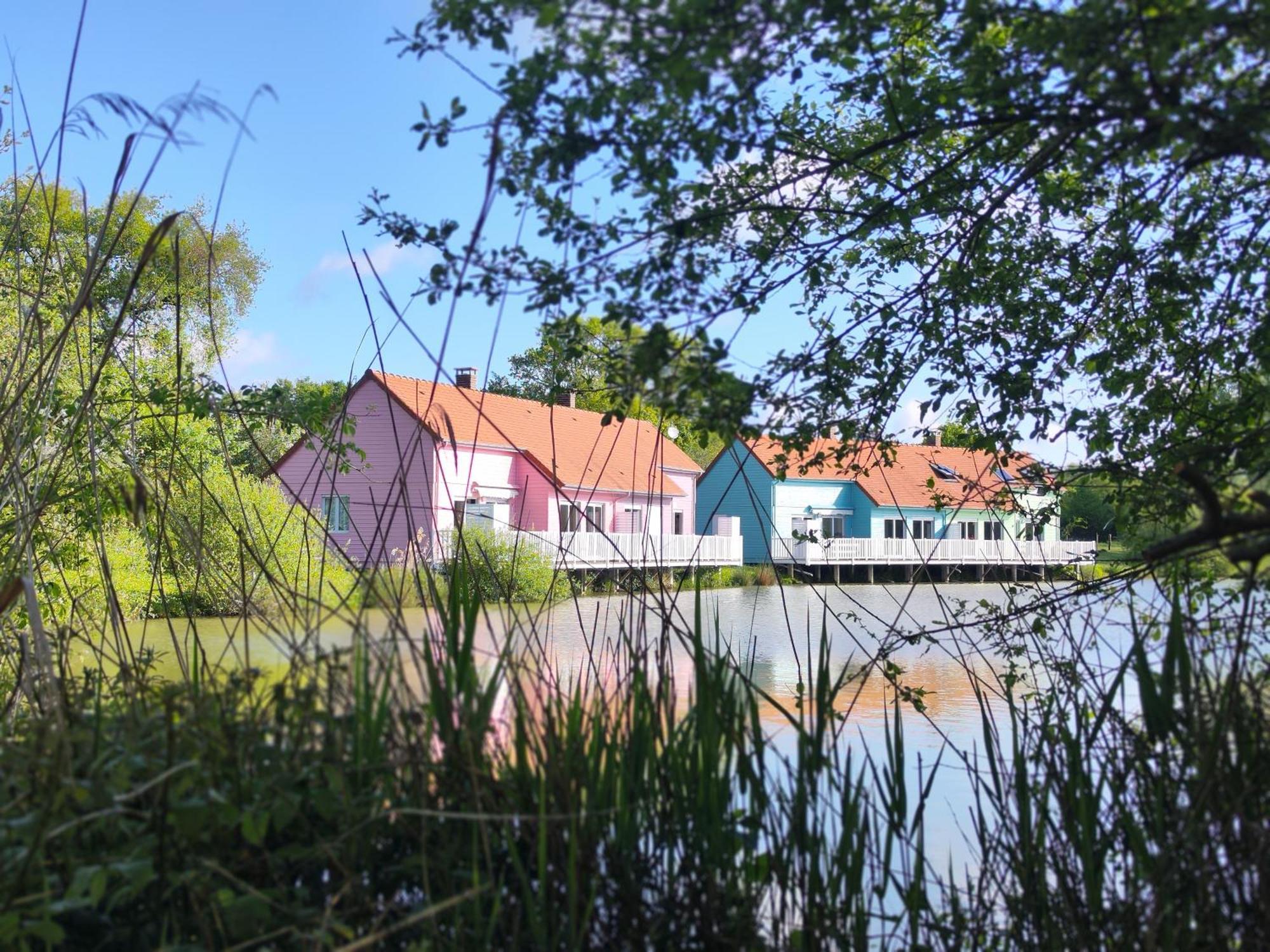 Domaine De La Roseliere • Nature • Brenne Rosnay  Dış mekan fotoğraf